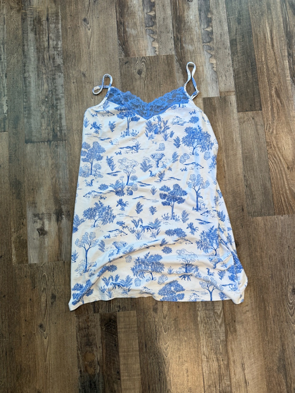 Blue Toile Lace Trim Sleep Dress
